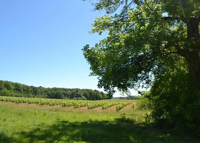Maison De Brandey * Gardegan-et-Tourtirac